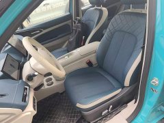 ORA Good Cat 430km Deluxe Edition - ფოტო 15