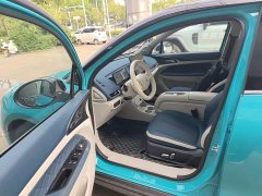 ORA Good Cat 430km Deluxe Edition - ფოტო 16