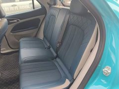 ORA Good Cat 430km Deluxe Edition - ფოტო 17