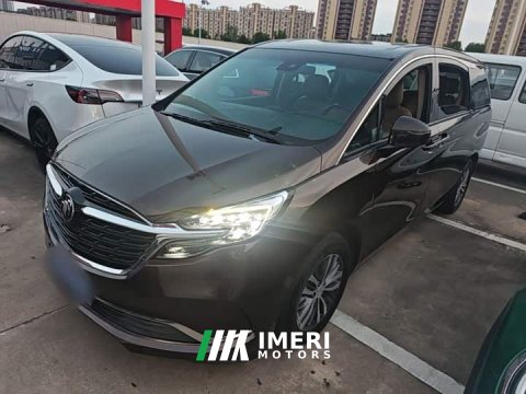 2021 Buick GL8 ES Land Respect 653T Respect Enjoyment Edition - ავტომობილი ჩინეთიდან