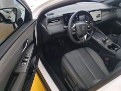 BYD Qin PLUS DM-i Smart Drive Edition 55KM Leading - ფოტო 16