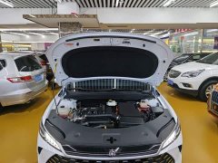 BYD Qin PLUS DM-i Smart Drive Edition 55KM Leading - ფოტო 20