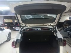BMW X1 sDrive25Li X Design Package - ფოტო 19