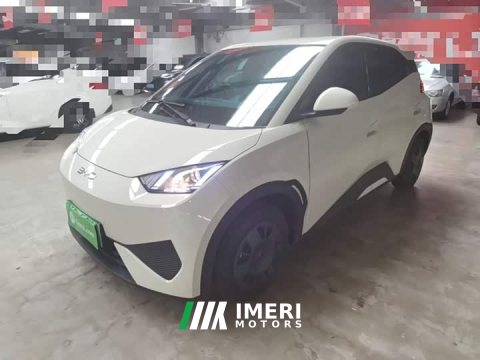 2025 BYD Seagull Smart Drive 305km Vitality Edition - ავტომობილი ჩინეთიდან