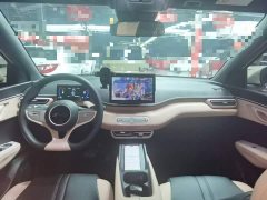 BYD Seagull Smart Drive 305km Vitality Edition - ფოტო 10
