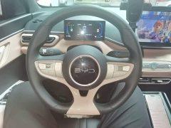 BYD Seagull Smart Drive 305km Vitality Edition - ფოტო 11