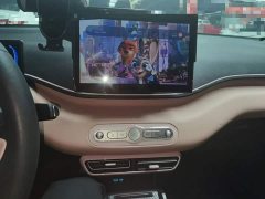 BYD Seagull Smart Drive 305km Vitality Edition - ფოტო 13