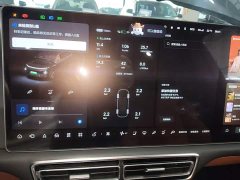 Li Auto L9 2022 Max - ფოტო 12