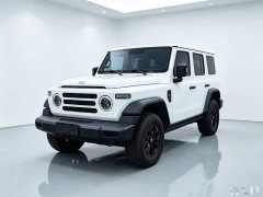 BYD 212 T01 2.0T Mechanic Edition - ფოტო 2