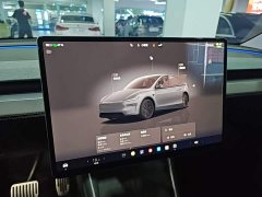 Tesla Model Y 2025 Rear-Wheel Drive - ფოტო 13