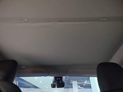Tesla Model Y 2025 Rear-Wheel Drive - ფოტო 18