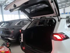 Toyota RAV4 2024 2.0L CVT FWD Urban Edition - ფოტო 19