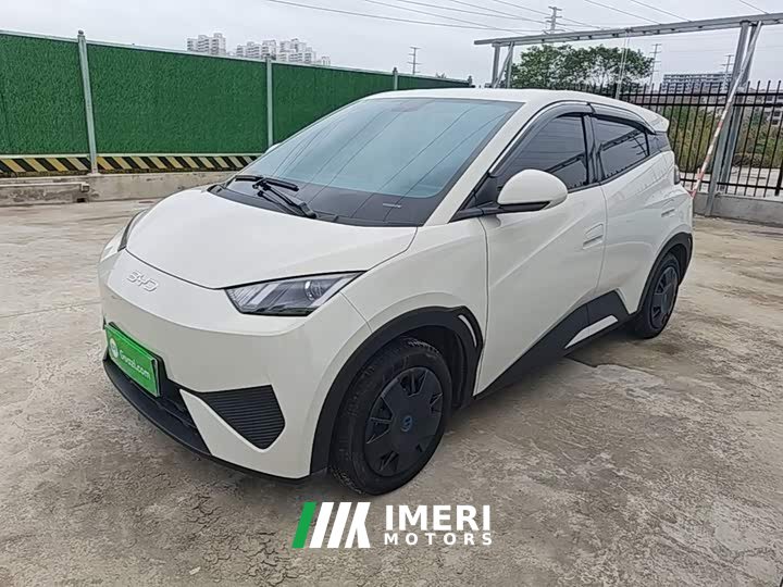 BYD Seagull 2025 305km Vitality Edition - ავტომობილი ჩინეთიდან