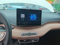 BYD Seagull 2025 305km Vitality Edition - ფოტო 13