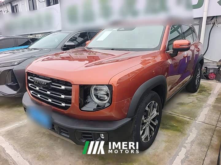 Great Wall Dachshund 1.5T DCT Two-Wheel Drive Border Collie Edition