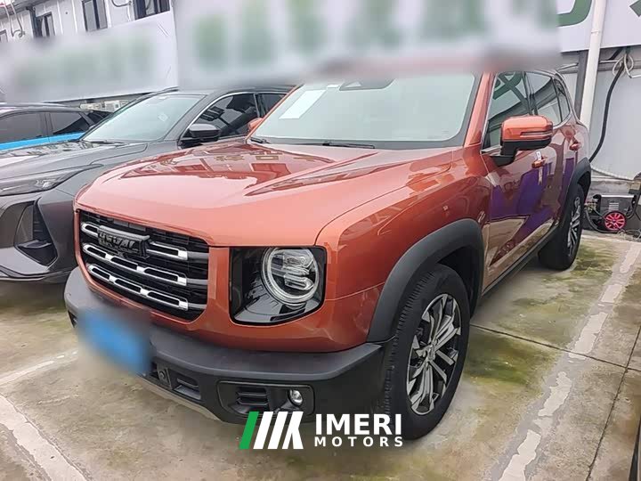 Great Wall Dachshund 1.5T DCT Two-Wheel Drive Border Collie Edition
