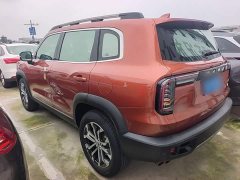 Great Wall Dachshund 1.5T DCT Two-Wheel Drive Border Collie Edition - ფოტო 5