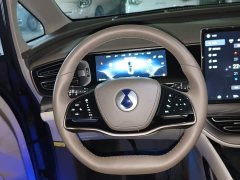 Denza BYD Denza D9 2022 DM-i 970 AWD Premium Edition - ფოტო 11