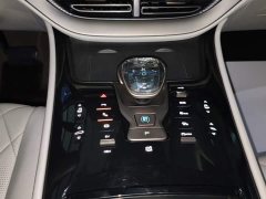 Denza BYD Denza D9 2022 DM-i 970 AWD Premium Edition - ფოტო 14