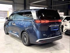 Denza BYD Denza D9 2022 DM-i 970 AWD Premium Edition - ფოტო 5