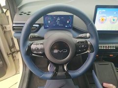 BYD Seagull 305km Freedom Edition - ფოტო 11