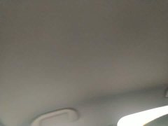 BYD Seagull 305km Freedom Edition - ფოტო 18