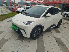 BYD Seagull 305km Freedom Edition - ფოტო 2