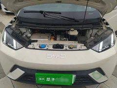 BYD Seagull 305km Freedom Edition - ფოტო 20