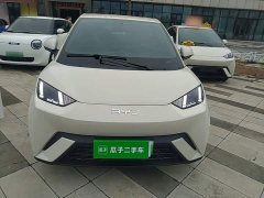 BYD Seagull 305km Freedom Edition - ფოტო 3