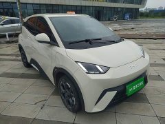 BYD Seagull 305km Freedom Edition - ფოტო 4