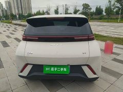 BYD Seagull 305km Freedom Edition - ფოტო 6