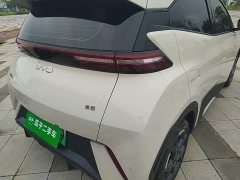 BYD Seagull 305km Freedom Edition - ფოტო 8