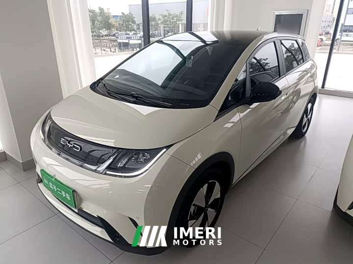 BYD Dolphin 420km Fashion Edition - ავტომობილი ჩინეთიდან