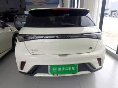 BYD Dolphin 420km Fashion Edition - ფოტო 6