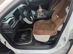 BYD Destroyer 05 Glory Edition DM-i 55KM Luxury - ფოტო 15