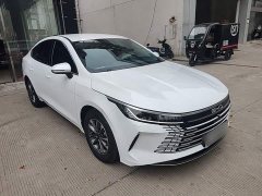 BYD Destroyer 05 Glory Edition DM-i 55KM Luxury - ფოტო 4