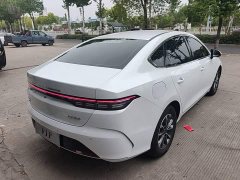 BYD Destroyer 05 Glory Edition DM-i 55KM Luxury - ფოტო 7
