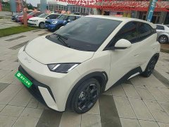 BYD Seagull 305km Freedom Edition - photo 1