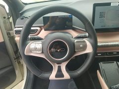 BYD Seagull 305km Freedom Edition - photo 11