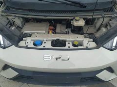BYD Seagull 305km Freedom Edition - photo 20