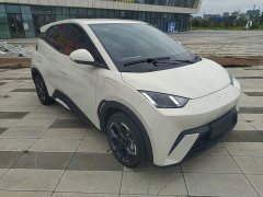 BYD Seagull 305km Freedom Edition - photo 4