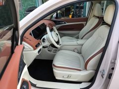 ORA Good Cat 401km Deluxe 135kW - ფოტო 15