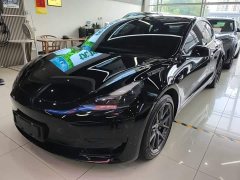 Tesla Model 3 Rear-Wheel Drive - ფოტო 1