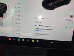 Tesla Model 3 Rear-Wheel Drive - ფოტო 12