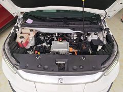 BYD Yuan Pro 2021 401KM Deluxe - ფოტო 20