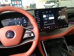 BYD Tang New Energy Smart Driving DM-i 175KM Premium Edition - ფოტო 14
