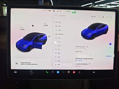 Tesla Model Y Standard Range RWD - ფოტო 12