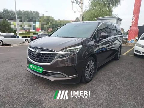 2021 Buick GL8 ES Land Respect 653T Luxury - ავტომობილი ჩინეთიდან