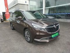 Buick GL8 ES Land Respect 653T Luxury - ფოტო 4