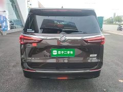 Buick GL8 ES Land Respect 653T Luxury - ფოტო 6
